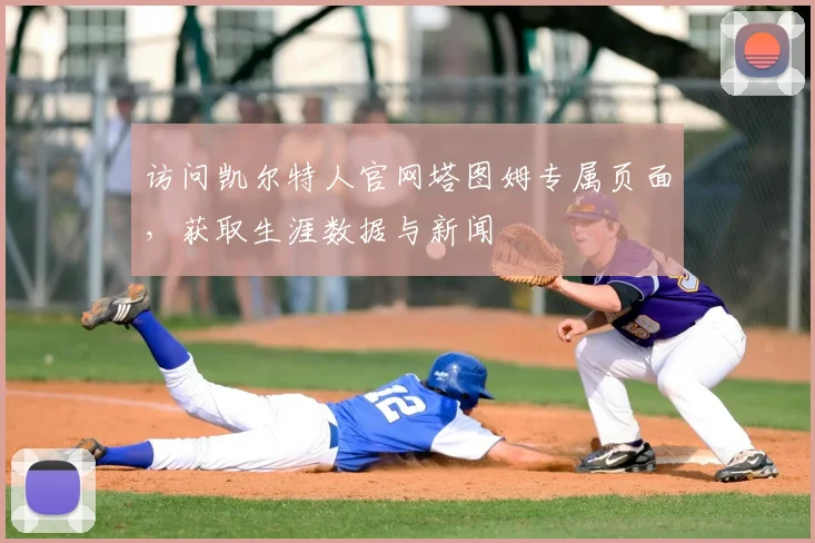 访问凯尔特人官网塔图姆专属页面，获取生涯数据与新闻