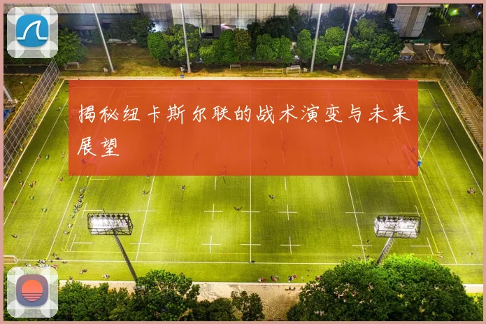 揭秘纽卡斯尔联的战术演变与未来展望