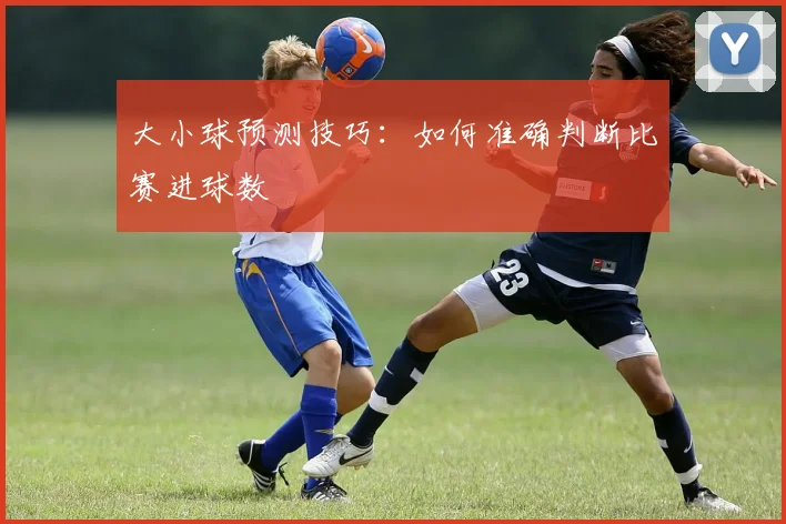 大小球预测技巧：如何准确判断比赛进球数
