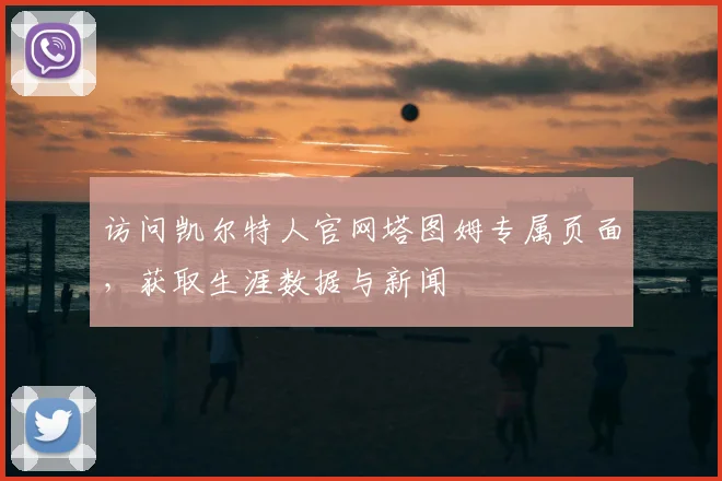访问凯尔特人官网塔图姆专属页面，获取生涯数据与新闻